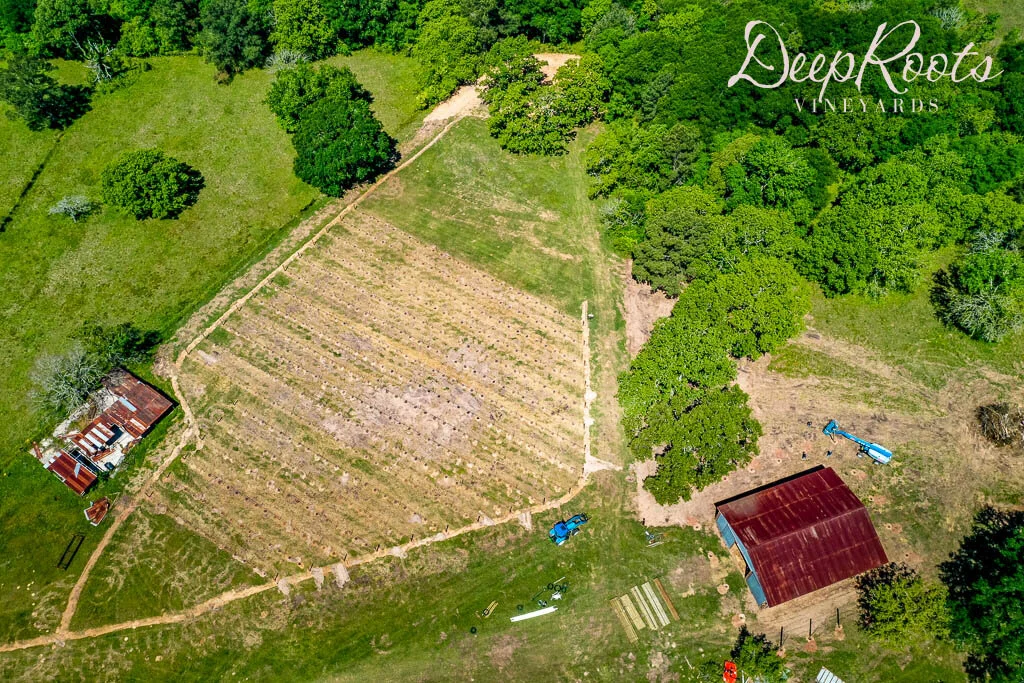 Dean Live at The DeepRoots Vineyard in Plantersville